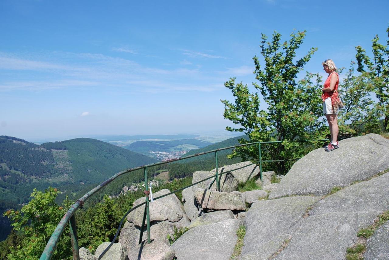 Ferienwohnung-Bergblick Bad Harzburg Ngoại thất bức ảnh